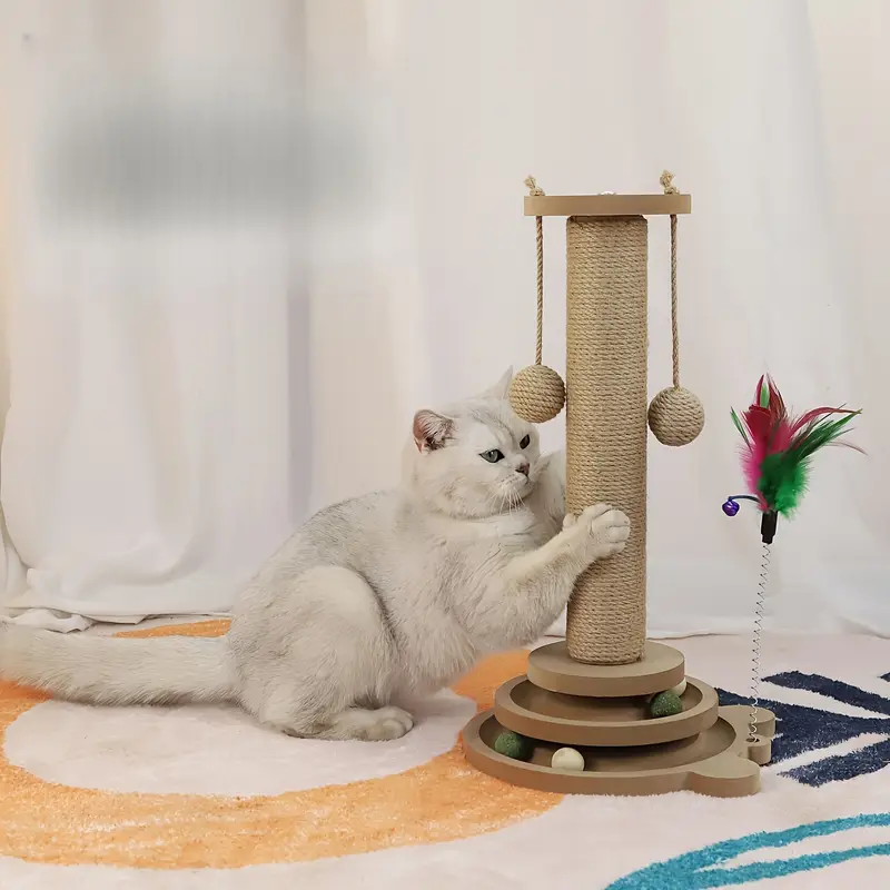 Кіт на дизайнерських меблях